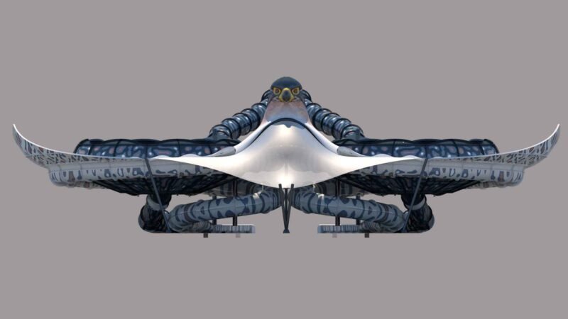 DXB Entertainments Waterpark Project Stingray Falcon Theme 06 (2)