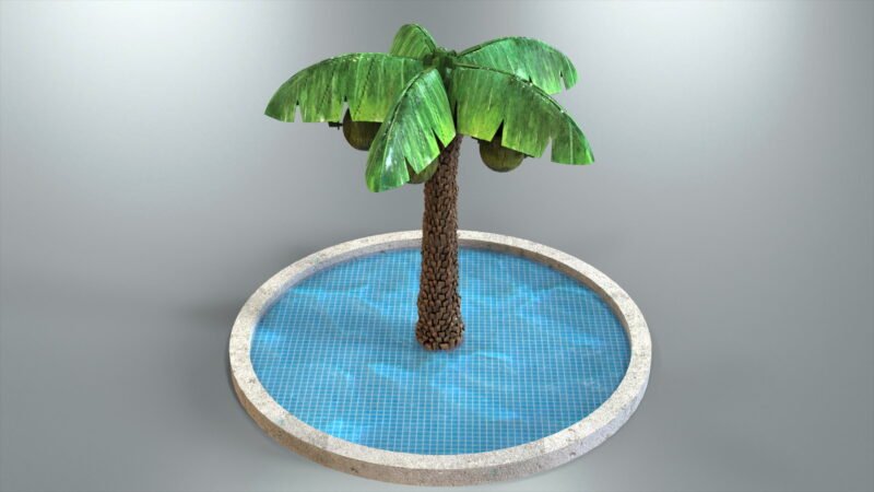 Portfolio_Coconut_Tree