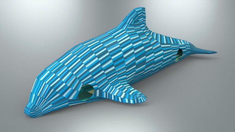 Portfolio_Dolphin_Figure