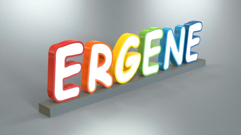 Portfolio_Ergene_Tag