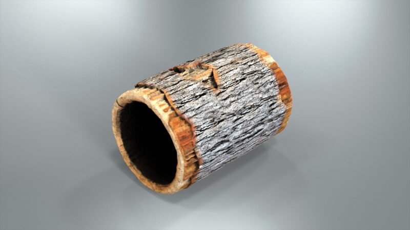 Portfolio_Log_Crawl_Tunnel