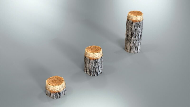 Portfolio_Log_Steppers_
