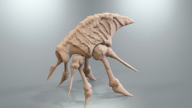 Portfolio_Raptor_Rock_Head_and_Tail