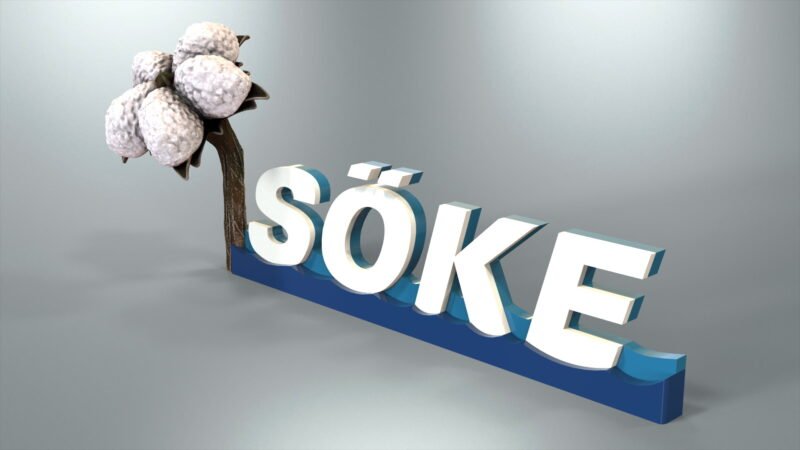 Portfolio_Söke_Tag