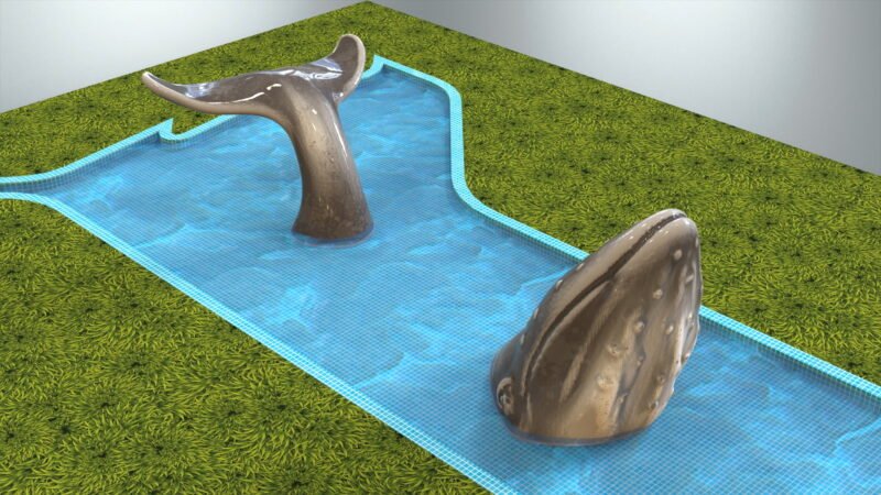 Portfolio_Whale_Fountain